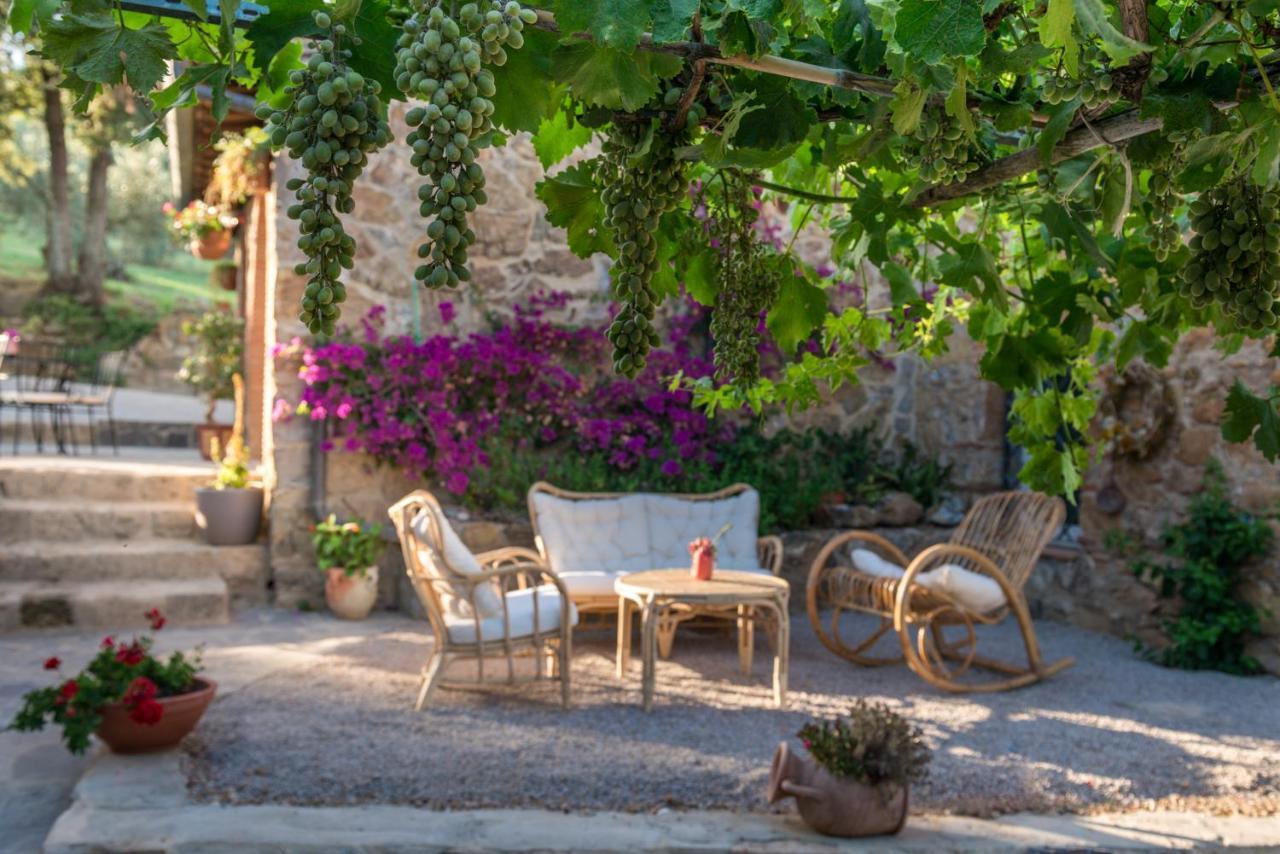 Agriturismo Schiaccia Ghiande 马萨马里蒂马 外观 照片