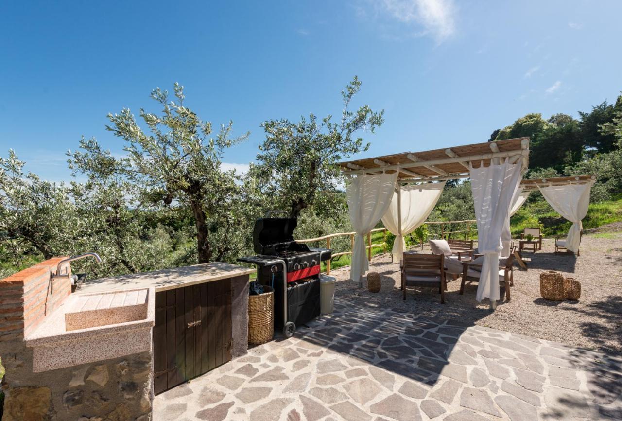 Agriturismo Schiaccia Ghiande 马萨马里蒂马 外观 照片