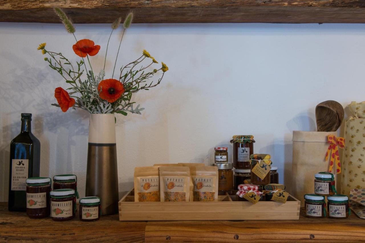 Agriturismo Schiaccia Ghiande 马萨马里蒂马 外观 照片