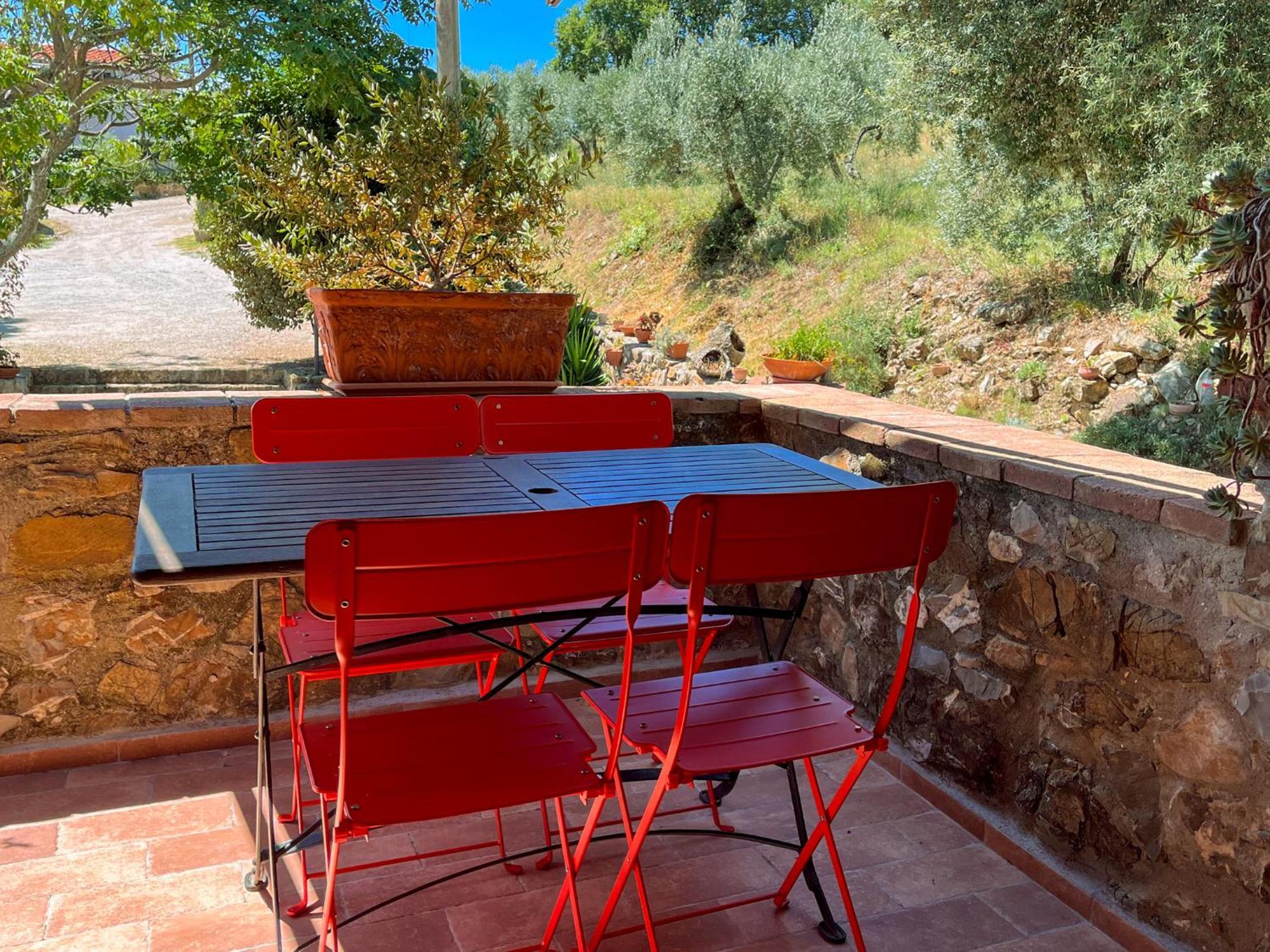 Agriturismo Schiaccia Ghiande 马萨马里蒂马 外观 照片